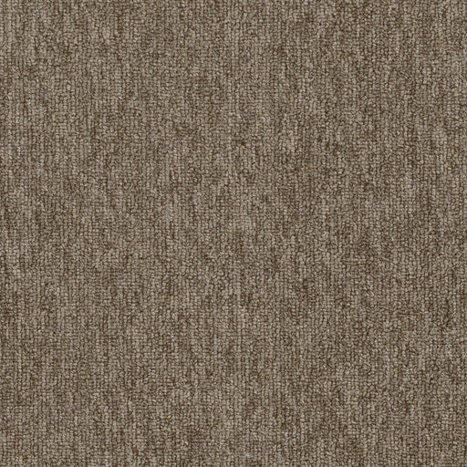 Pentz Commercial Quicksilver 20 Broadloom 2156 Xenon Textured