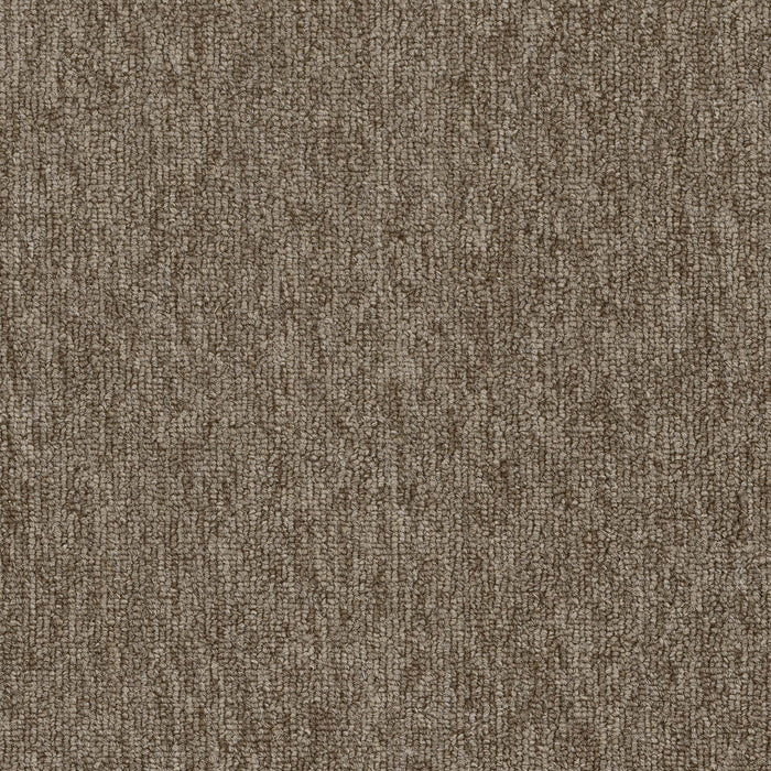 Quicksilver 20 Broadloom APEX SDP Polyester Silicon 2161 Carpet Textured 1