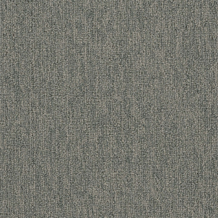 Quicksilver 20 Broadloom APEX SDP Polyester Tungsten 2162 Carpet Textured 1