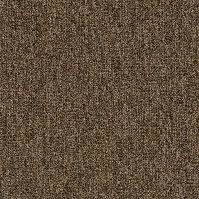 Quicksilver 26 Broadloom APEX SDP Polyester Helium 2154 Carpet Textured 1