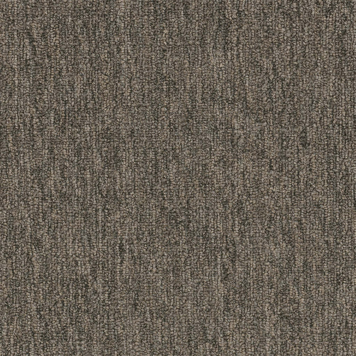 Quicksilver 26 Broadloom APEX SDP Polyester Platinum 2155 Carpet Textured 1