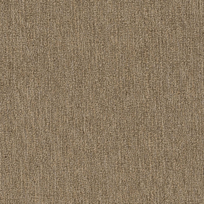 Quicksilver 26 Broadloom APEX SDP Polyester Xenon 2156 Carpet Textured 1