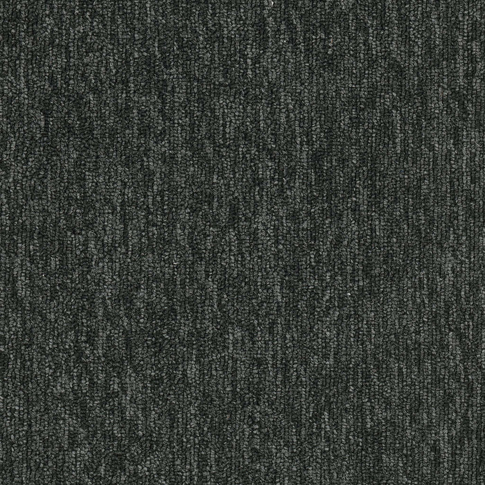 Quicksilver 26 Broadloom APEX SDP Polyester Carbon 2158 Carpet Textured 1