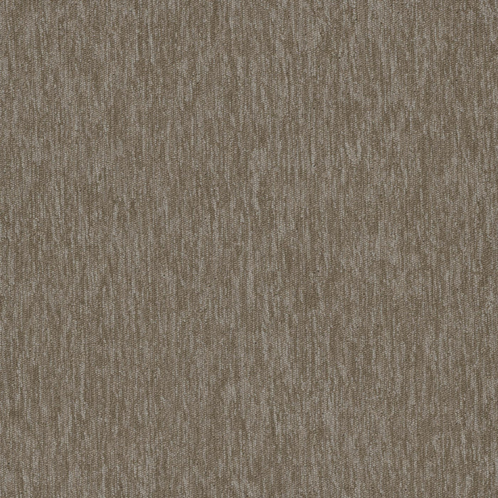 Streaming 20 Broadloom Encore SD Nylon Wi-Fi 2937 Carpet Textured 1
