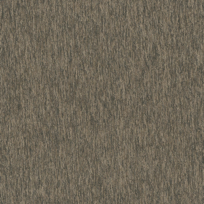 Streaming 20 Broadloom Encore SD Nylon Latency 2945 Carpet Textured 1