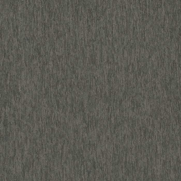 Streaming 26 Broadloom Encore SD Nylon High Definition 2934 Carpet Textured 1