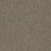 Streaming 26 Broadloom Encore SD Nylon Wi-Fi 2937 Carpet Textured 1