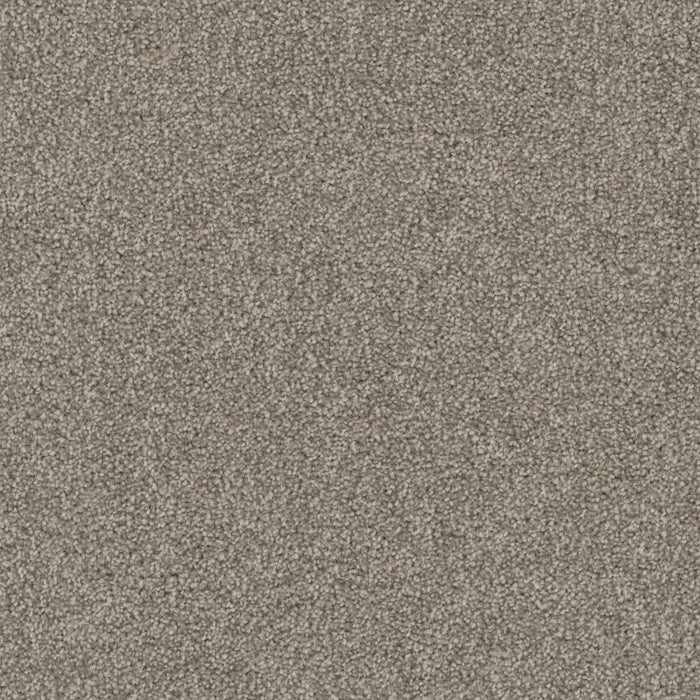Terrain Broadloom PureColor Polyester Enclave 3076 Carpet Textured 1