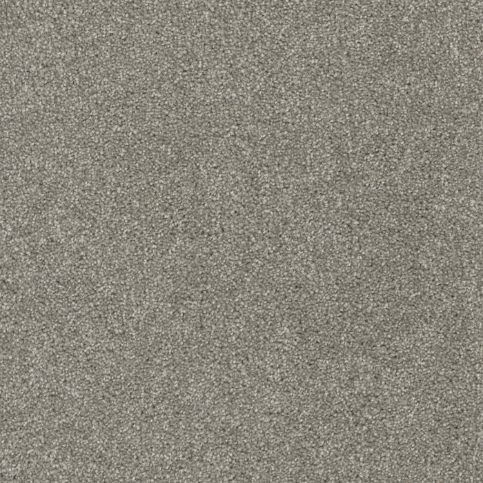 Terrain Broadloom PureColor Polyester Realm 3077 Carpet Textured 1