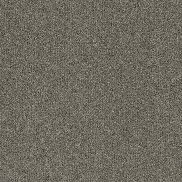 Terrain Broadloom PureColor Polyester Firma 3078 Carpet Textured 1