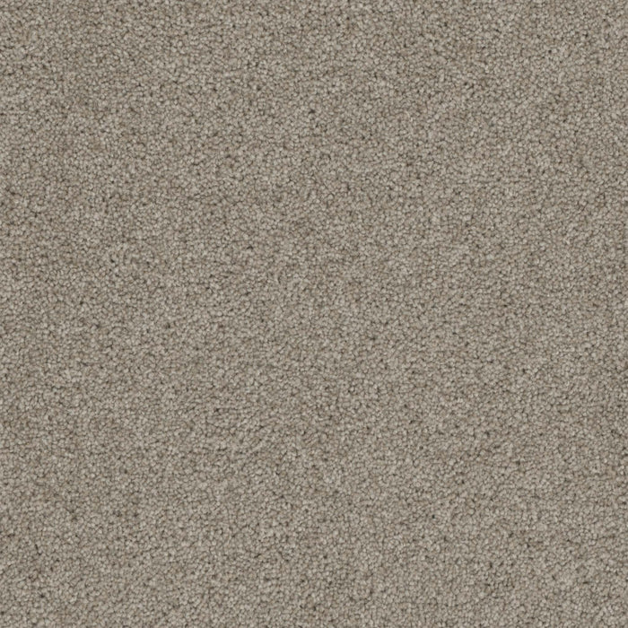 Terrain Broadloom PureColor Polyester Ambiance 3079 Carpet Textured 1