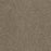 Terrain Broadloom PureColor Polyester Locale 3080 Carpet Textured 1