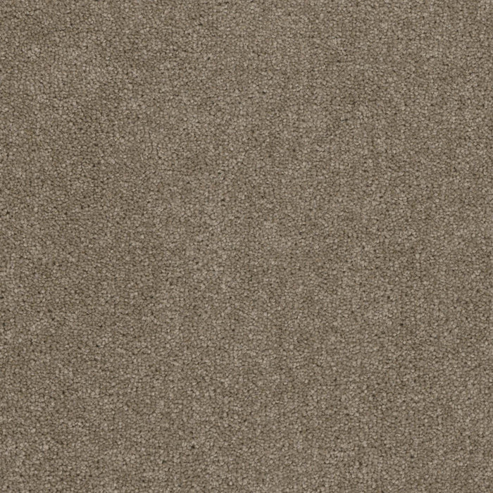 Terrain Broadloom PureColor Polyester Locale 3080 Carpet Textured 1