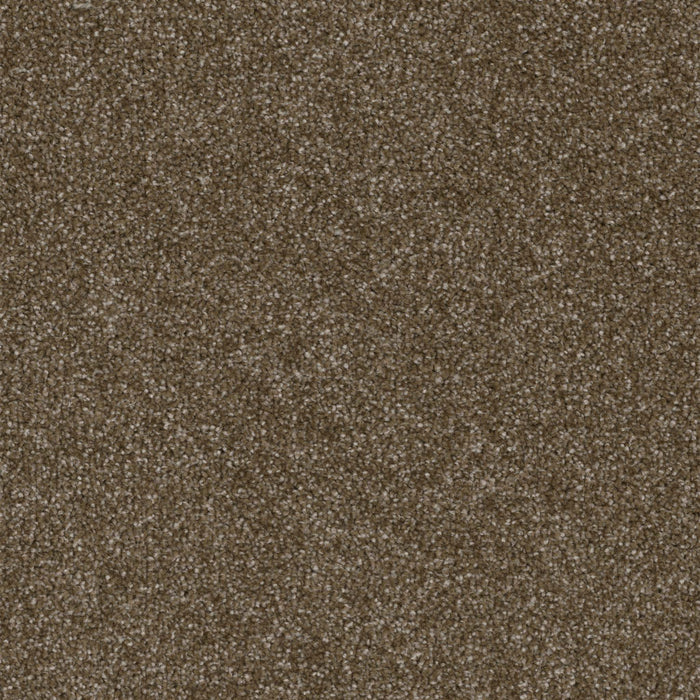 Terrain Broadloom PureColor Polyester Habitat 3081 Carpet Textured 1