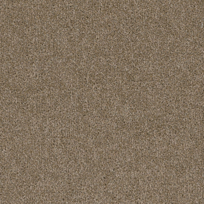 Terrain Broadloom PureColor Polyester Scenery 3082 Carpet Textured 1