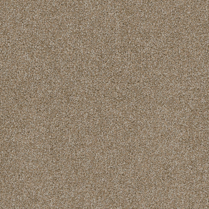 Terrain Broadloom PureColor Polyester Vista 3083 Carpet Textured 1