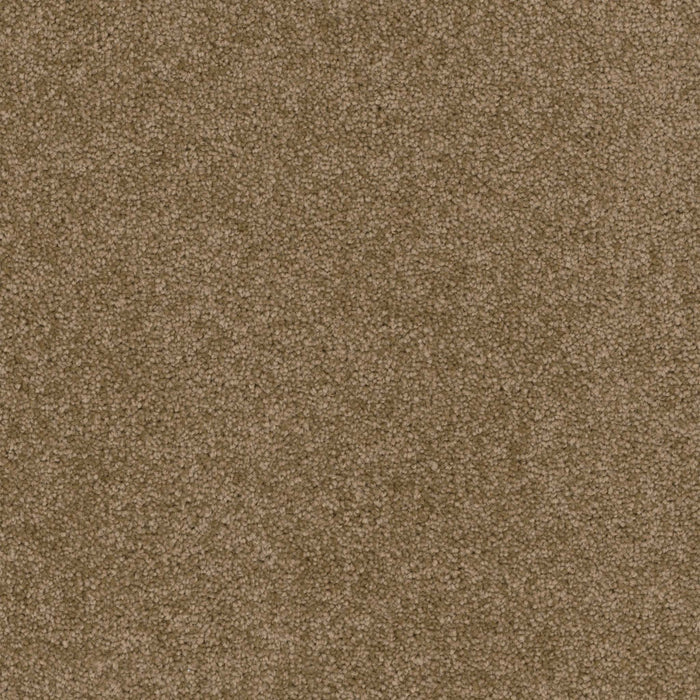 Terrain Broadloom PureColor Polyester Haven 3084 Carpet Textured 1