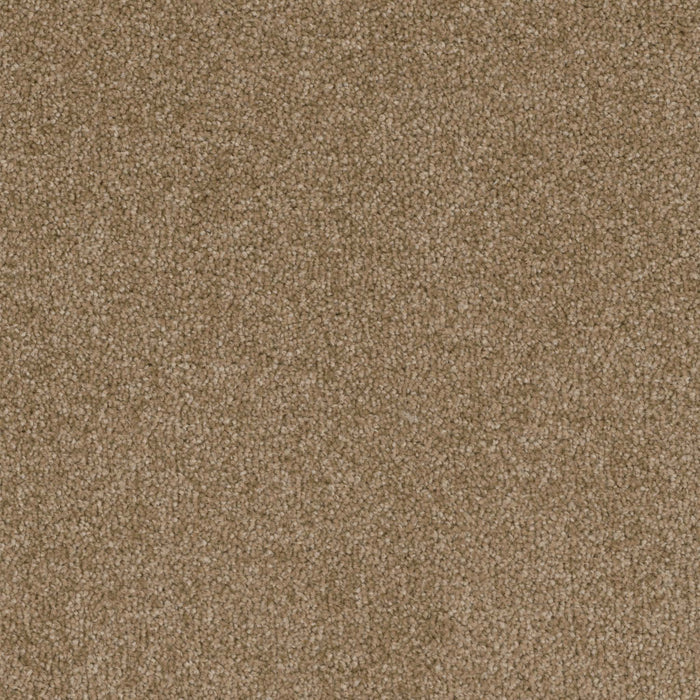 Terrain Broadloom PureColor Polyester Abode 3085 Carpet Textured 1