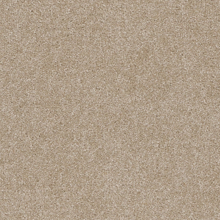 Terrain Broadloom PureColor Polyester Coast 3086 Carpet Textured 1