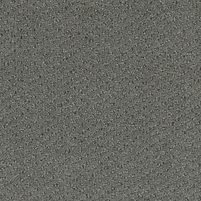 Domain Broadloom PureColor Polyester Landscapes 3075 Carpet Pattern 1