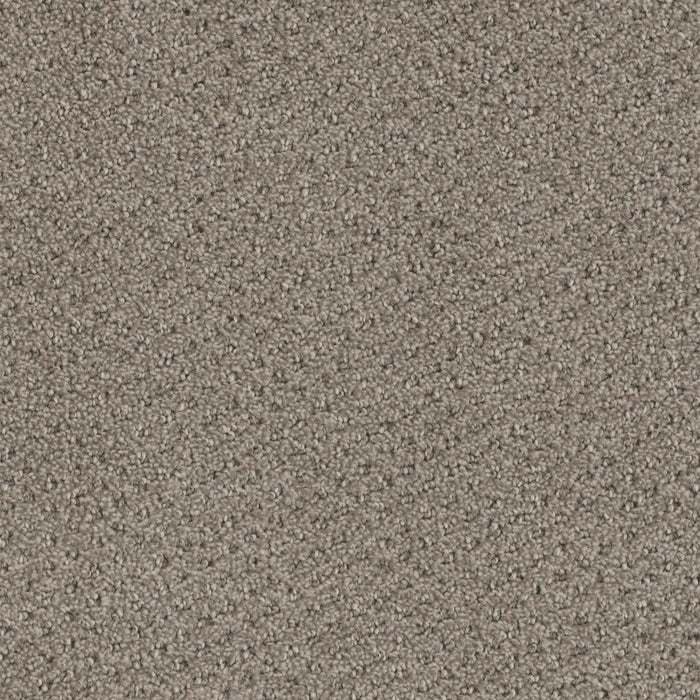Domain Broadloom PureColor Polyester Enclave 3076 Carpet Pattern 1