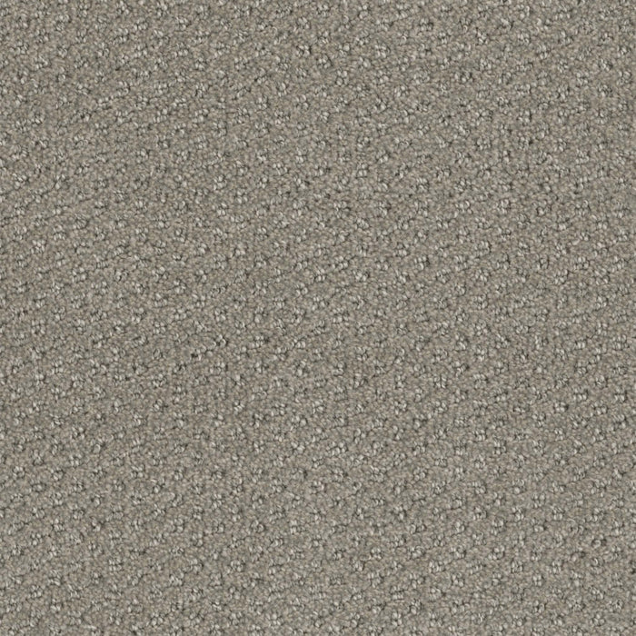 Domain Broadloom PureColor Polyester Realm 3077 Carpet Pattern 1