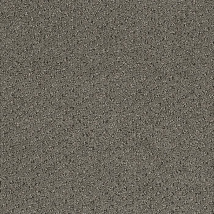 Domain Broadloom PureColor Polyester Firma 3078 Carpet Pattern 1