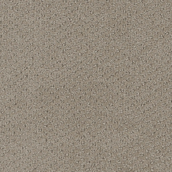 Domain Broadloom PureColor Polyester Ambiance 3079 Carpet Pattern 1