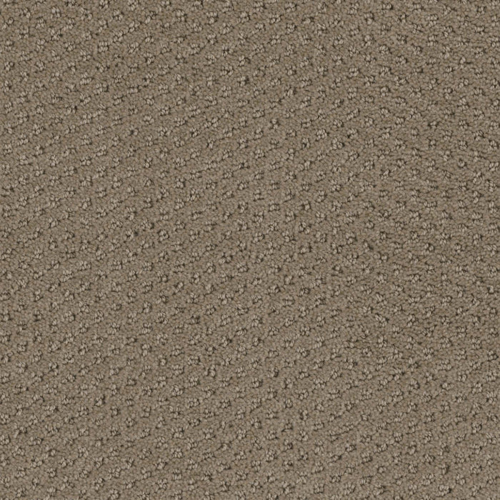Domain Broadloom PureColor Polyester Locale 3080 Carpet Pattern 1