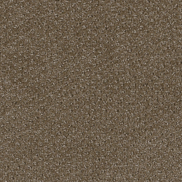 Domain Broadloom PureColor Polyester Habitat 3081 Carpet Pattern 1