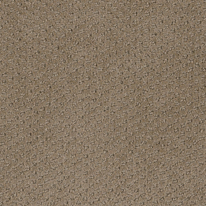 Domain Broadloom PureColor Polyester Scenery 3082 Carpet Pattern 1