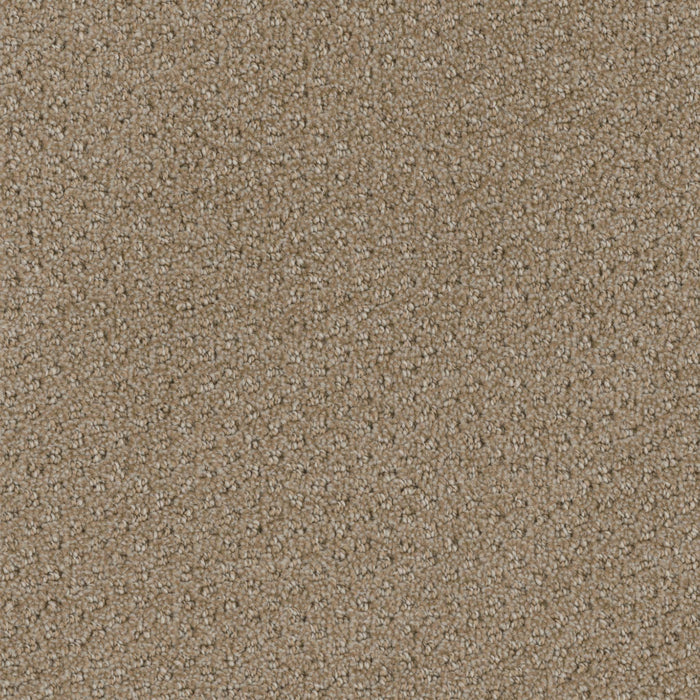Domain Broadloom PureColor Polyester Vista 3083 Carpet Pattern 1