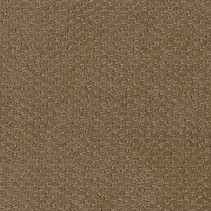 Domain Broadloom PureColor Polyester Haven 3084 Carpet Pattern 1