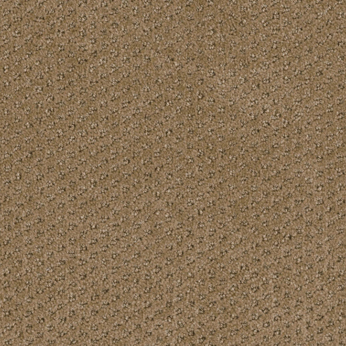 Domain Broadloom PureColor Polyester Abode 3085 Carpet Pattern 1