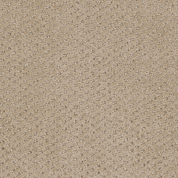 Domain Broadloom PureColor Polyester Coast 3086 Carpet Pattern 1