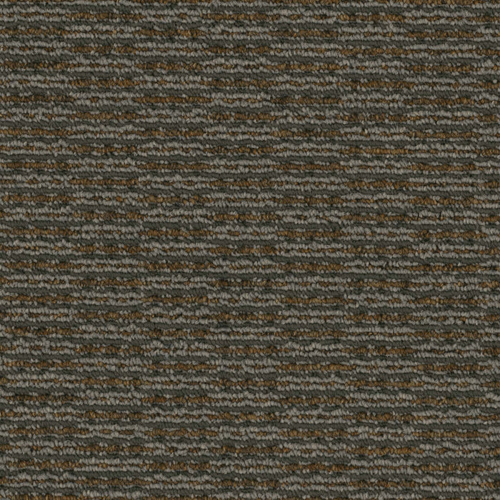 Rogue Broadloom APEX SDP Polyester Bandit 3087 Carpet Loop 1