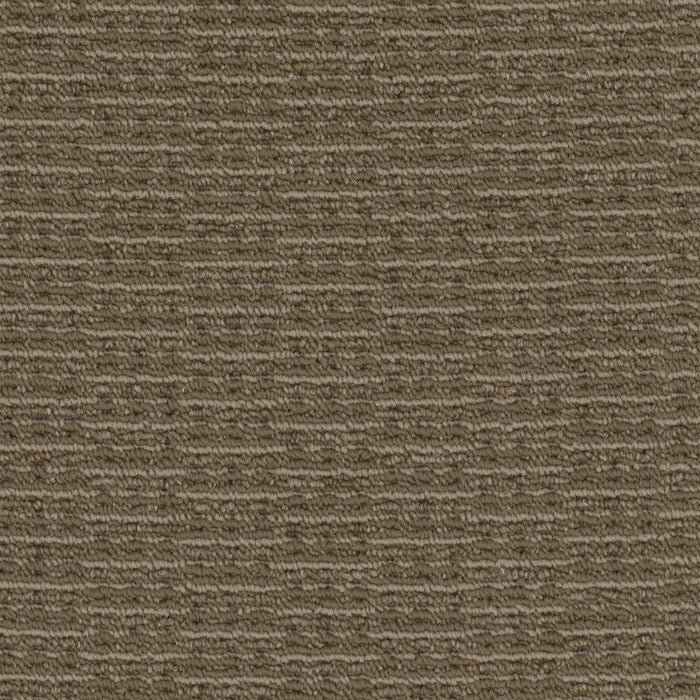 Rogue Broadloom APEX SDP Polyester Desperado 3088 Carpet Loop 1