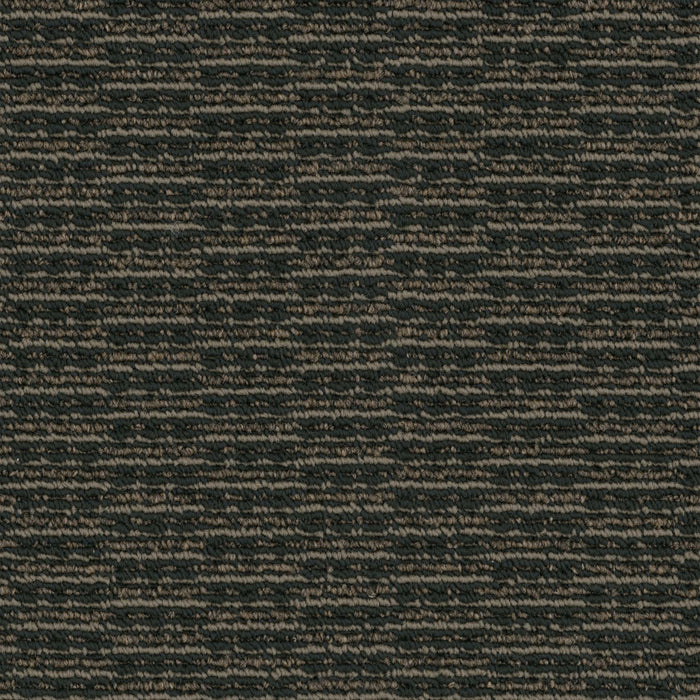 Rogue Broadloom APEX SDP Polyester Fugitive 3089 Carpet Loop 1