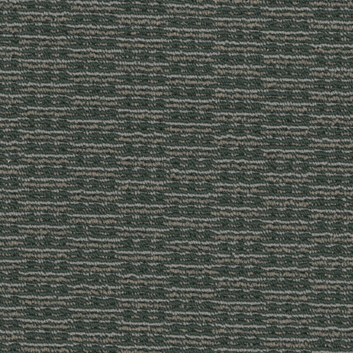 Rogue Broadloom APEX SDP Polyester Marauder 3091 Carpet Loop 1