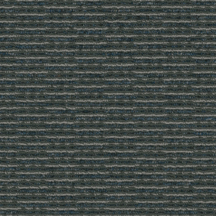 Rogue Broadloom APEX SDP Polyester Hooligan 3093 Carpet Loop 1