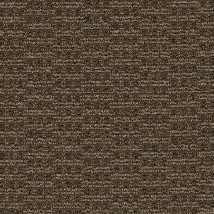 Rogue Broadloom APEX SDP Polyester Mobster 3094 Carpet Loop 1