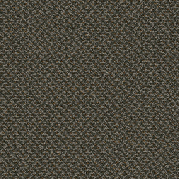 Outlaw Broadloom APEX SDP Polyester Bandit 3087 Carpet Loop 1