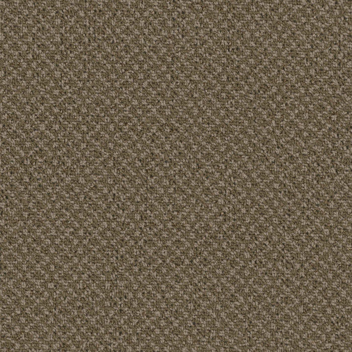 Outlaw Broadloom APEX SDP Polyester Desperado 3088 Carpet Loop 1