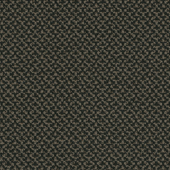 Outlaw Broadloom APEX SDP Polyester Fugitive 3089 Carpet Loop 1