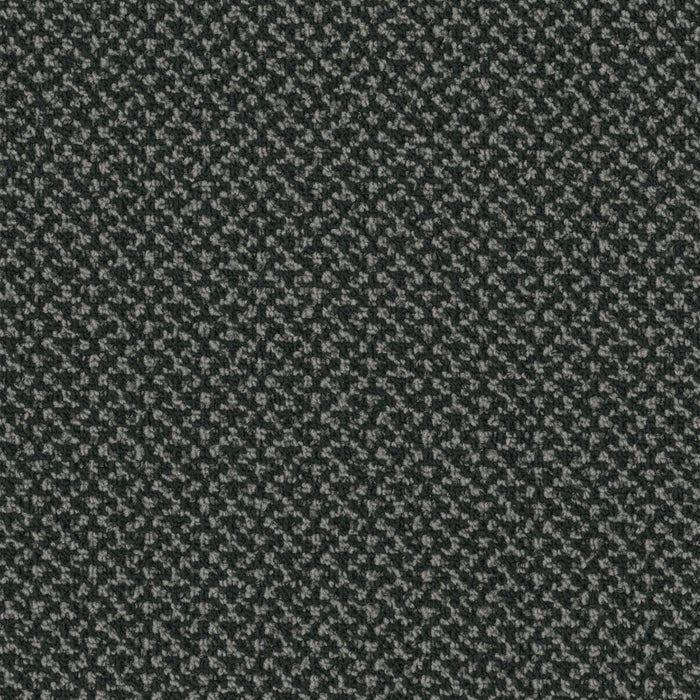 Outlaw Broadloom APEX SDP Polyester Hoodlum 3090 Carpet Loop 1