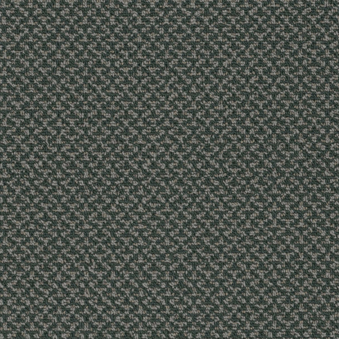 Outlaw Broadloom APEX SDP Polyester Marauder 3091 Carpet Loop 1