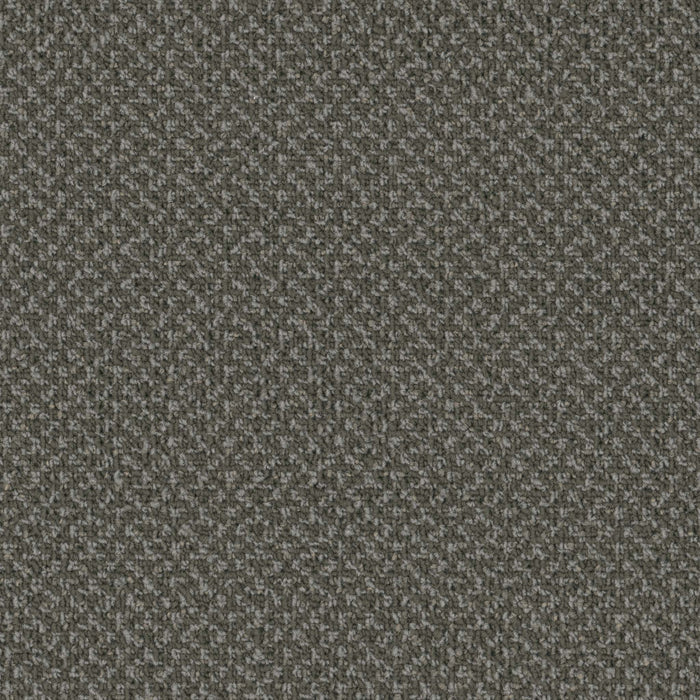 Outlaw Broadloom APEX SDP Polyester Outcast 3092 Carpet Loop 1