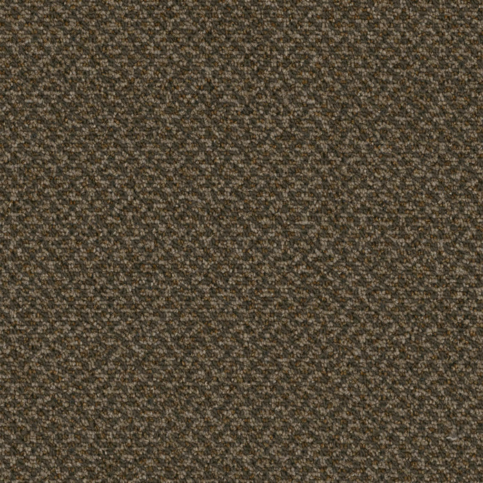 Outlaw Broadloom APEX SDP Polyester Mobster 3094 Carpet Loop 1