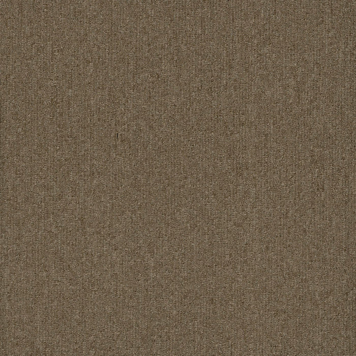 Uplink 20 Broadloom APEX SDP Polyester Praline 3123 Carpet Textured 1