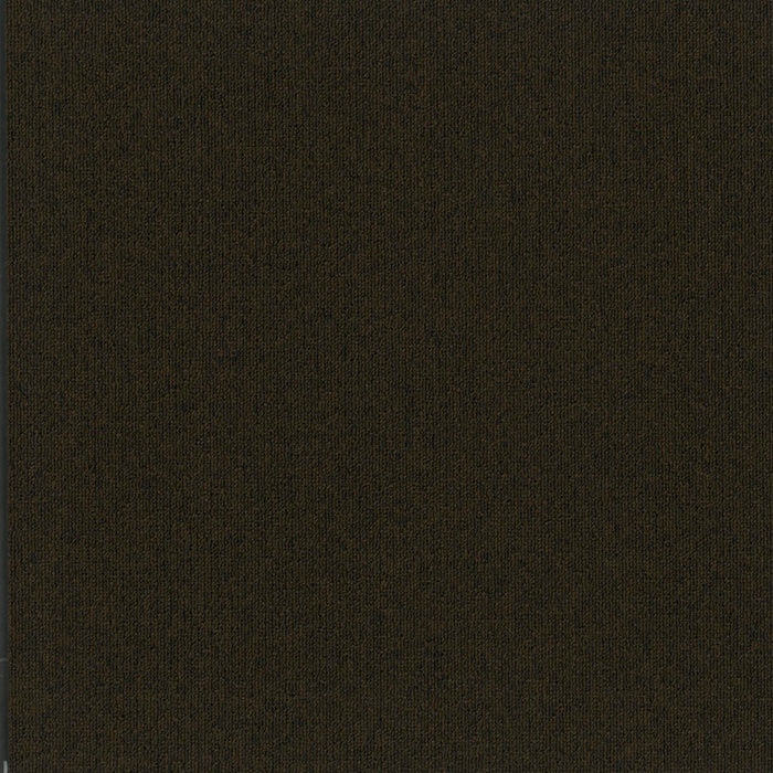Uplink 20 Broadloom APEX SDP Polyester Noir 3127 Carpet Textured 1
